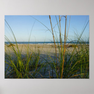 Poster A Travers La Chèvre