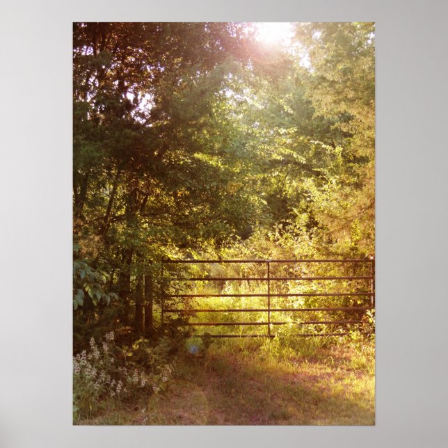 Poster A travers la porte du pays (Devant)