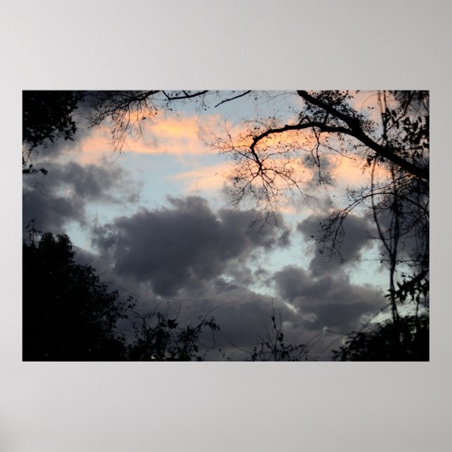 Poster A travers l'affiche Arbres (Devant)