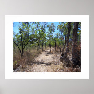 Poster À travers les arbres Australie Photographie couleu