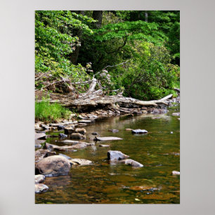 Poster A View of the Greenbrier River