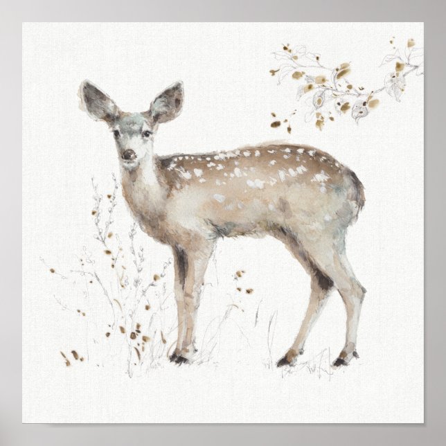 Poster A Woodland Walk IX (Devant)