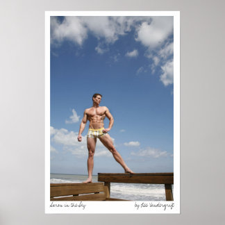 Poster Aaron in the Sky par Lee Vandergrift