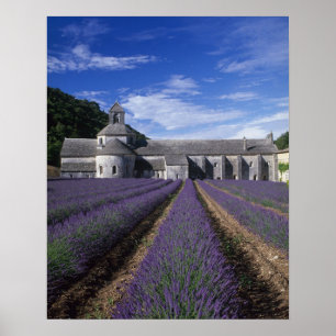 Poster Abbaye de Senanque, Gordes, Vaucluse, Provence,