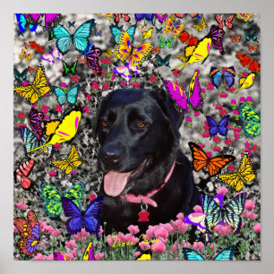 Poster Abby dans les papillons - chien noir de