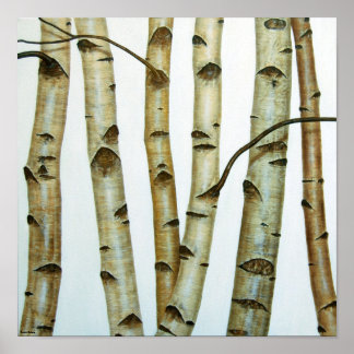 Poster Abedules Blancos