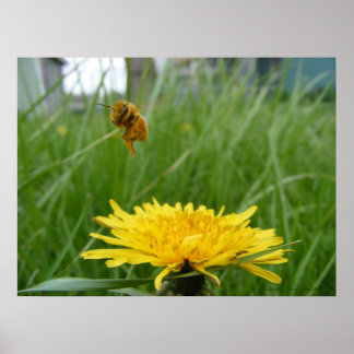Poster Abeille à miel de Pollenface