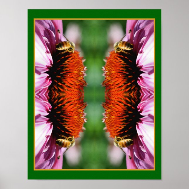 Poster Abeille de miel sur Echinacea Fleur marguerite Abs (Devant)