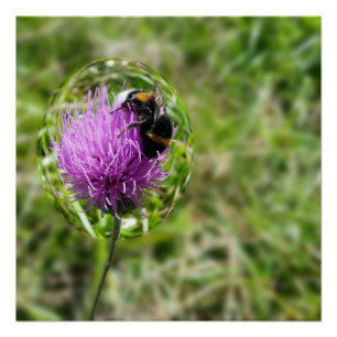 Poster Abeille en bulle