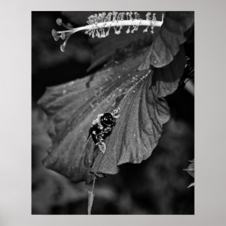 Poster Abeille glissante
