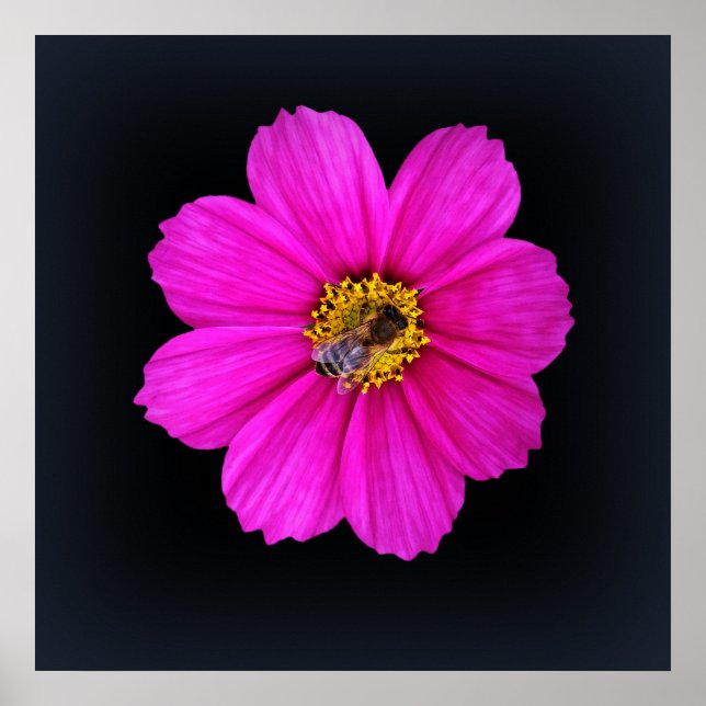 Poster abeille qui travaille dur (Devant)