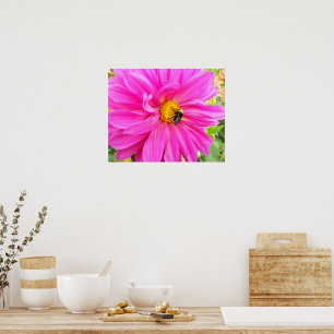 Poster Abeille sur Dahlia Rose Floral Photographique