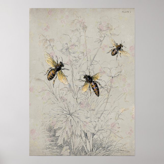 Poster Abeilles (Devant)