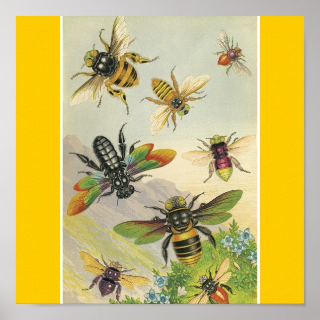 Poster Abeilles (Devant)