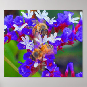 Poster Abeilles, amour et lisses