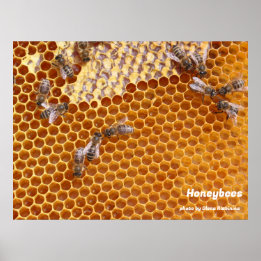 Poster Abeilles de miel dans l'affiche de la ruche