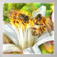Abeilles De Miel Sur L'Aquarelle De Fleur De Citro