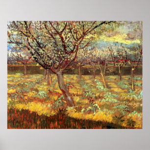 Poster Abricotiers en fleurs par Vincent van Gogh