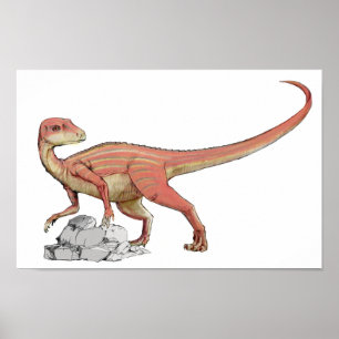 Poster Abrictosaurus - Portefeuille Jurassique Dinosaure