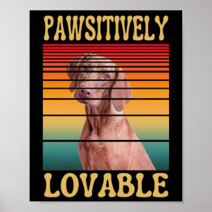 POSTER ABSOLUMENT MIGNON