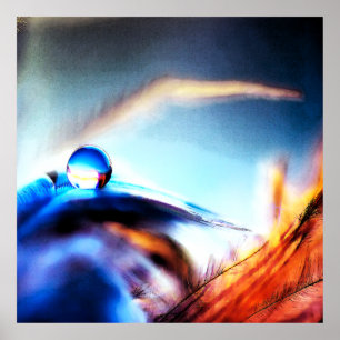 Poster Abstract Water Droplet Vibrant Macro Photography