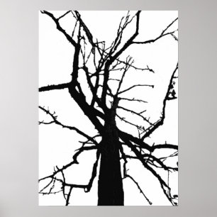 Poster Abstrait Arbre supérieur