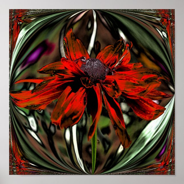 Poster Abstrait Black Eyed Susan Flower Art (Devant)