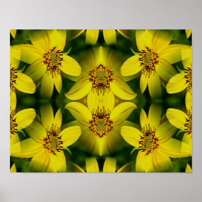Poster Abstrait de tournesol Maximillian (Devant)