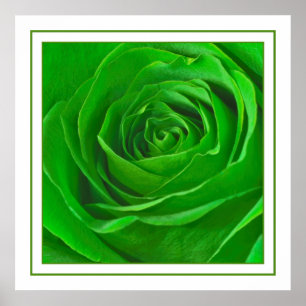Poster Abstrait Emerald Green Rose Center Photographie