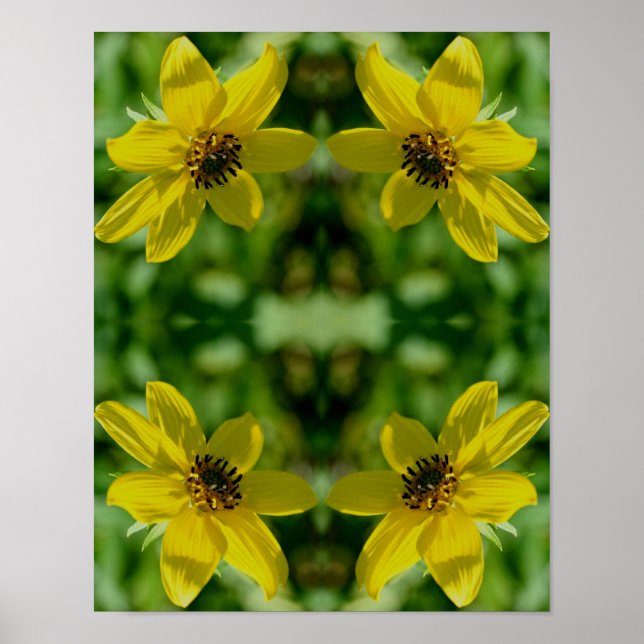 Poster Abstrait floral de tournesol Maximilian (Devant)