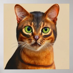 Poster Abyssinian - Portrait de chat