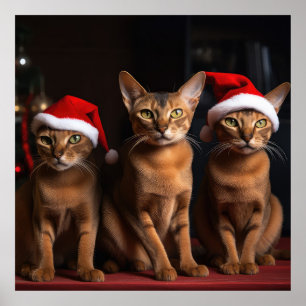 Poster Abyssinian près de la cheminée Noël