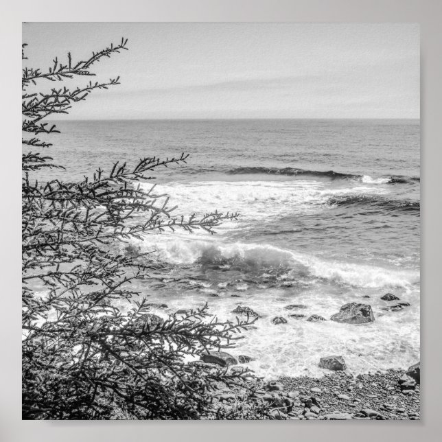 Poster Acadia Maine Coastline Black and White Archival (Devant)