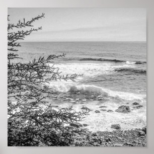 Poster Acadie Littoral du Maine Noir et Blanc Archivage