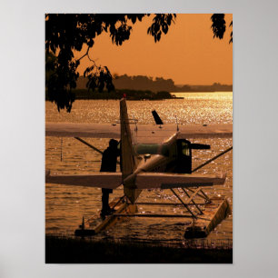 Poster Accouplement de 206