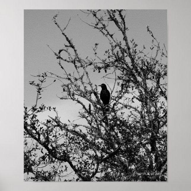 Poster Accrocher (Devant)