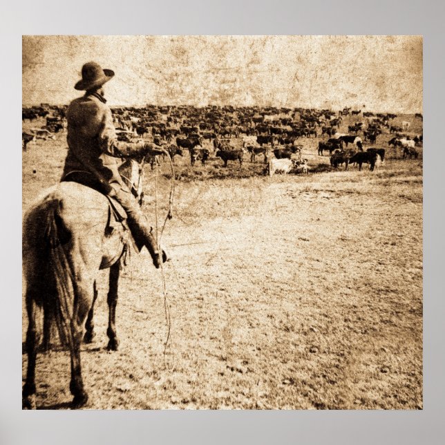 Poster Accueil sur le plateau (Devant)