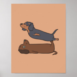 Poster Acroyoga Dachshund Dachshund Lover Cadeau