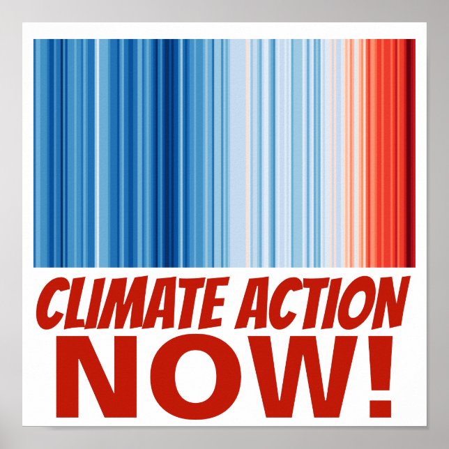 Poster Action climatique MAINTENANT ! Environnement récha (Devant)