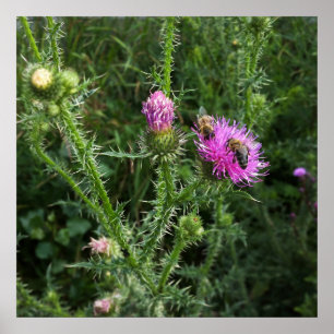 Poster Activité estivale