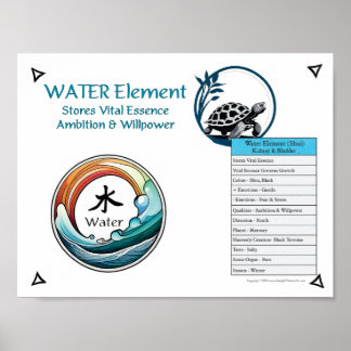 Poster Acupuncture de l'élément Eau