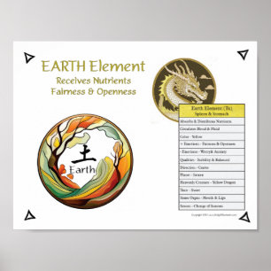 Poster Acupuncture de l'élément Terre