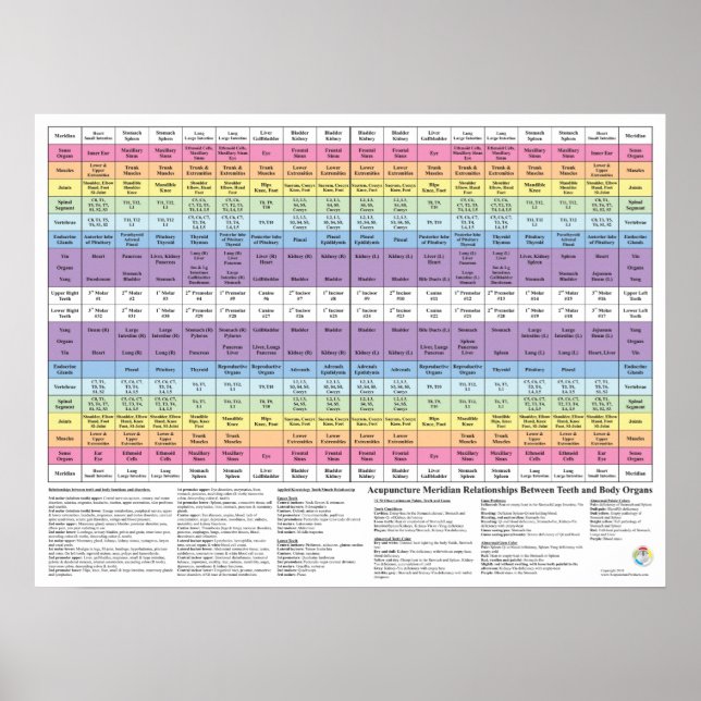 Poster Acupuncture dentaire Meridian Health Chart (Devant)