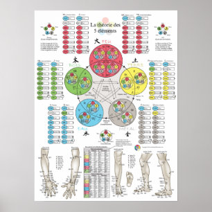 Poster Acupuncture des Cinq Éléments Française