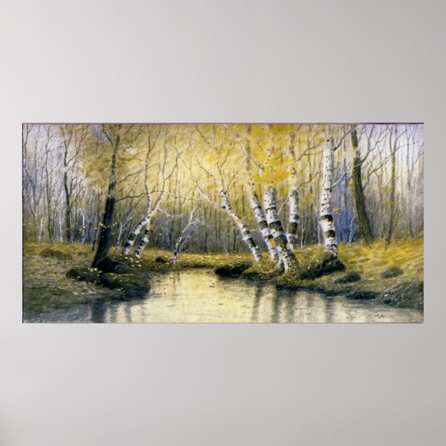 Poster Adirondack Birches (Devant)