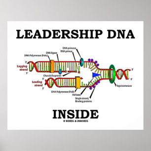 Poster ADN de leadership à l'intérieur (attitude biologiq