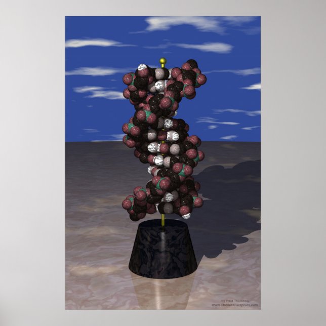 Poster ADN sur un socle (Devant)