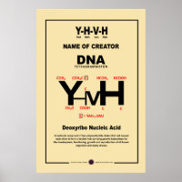 ADN-YHVH