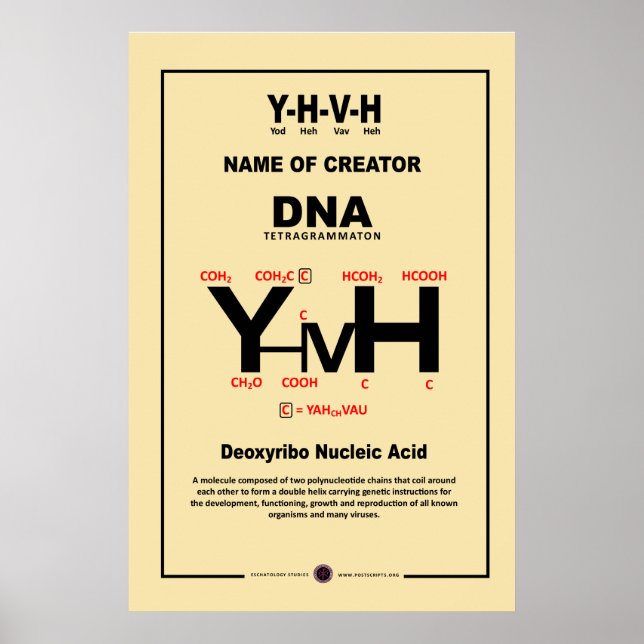 POSTER ADN-YHVH (Devant)