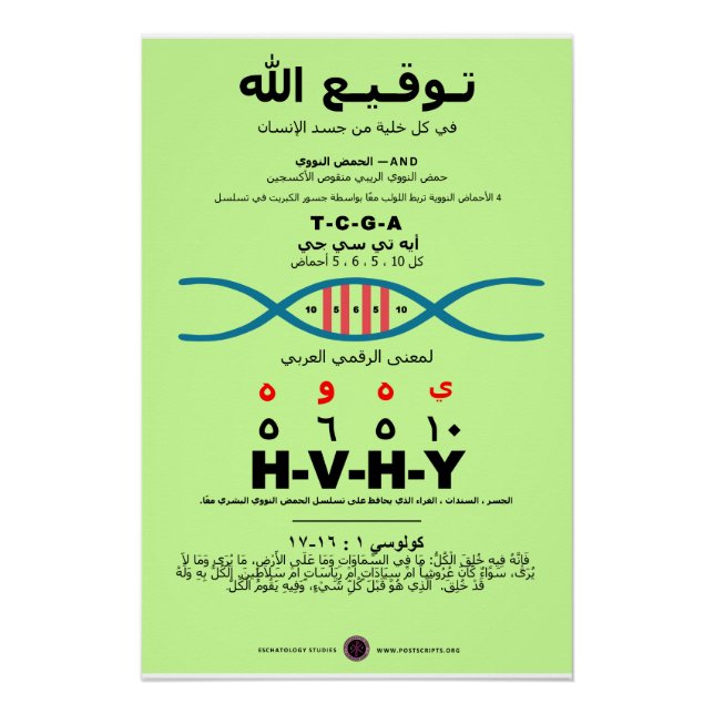 Poster ADN YHVH - arabe (Devant)
